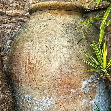 Vtar Casa Tinajas